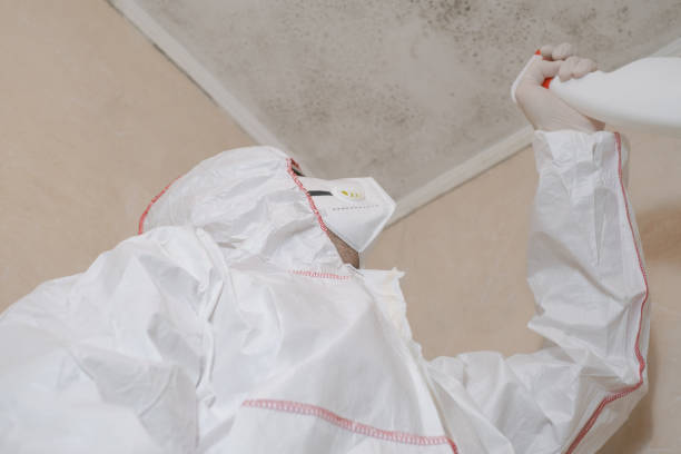 Best Commercial Mold Removal  in Ronan, MT